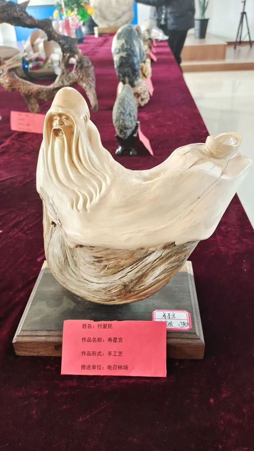 慶元旦 迎新年 管護(hù)中心工會(huì)開(kāi)展職工書(shū)畫(huà) 奇石 手工藝品等展賽活動(dòng)